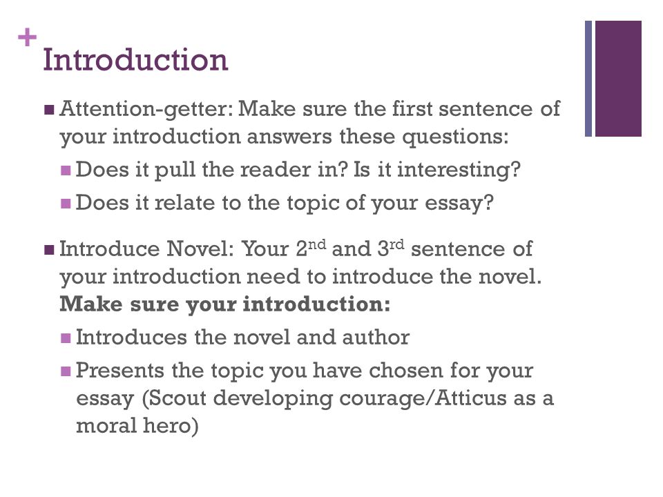 To kill a mockingbird theme essay outline